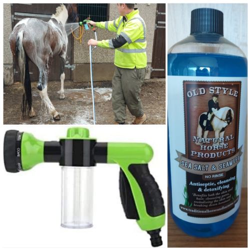 Horse Jet & No Rinse Special Offer